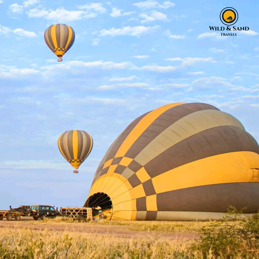 Hot Air Balloon Safari