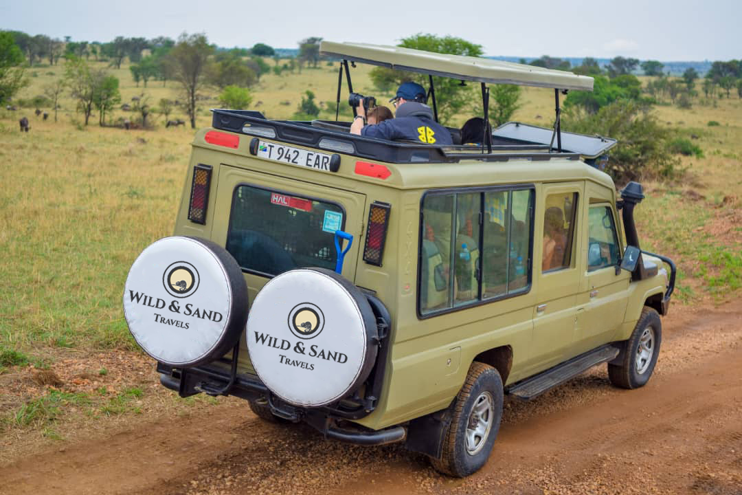 Safari Game Drive