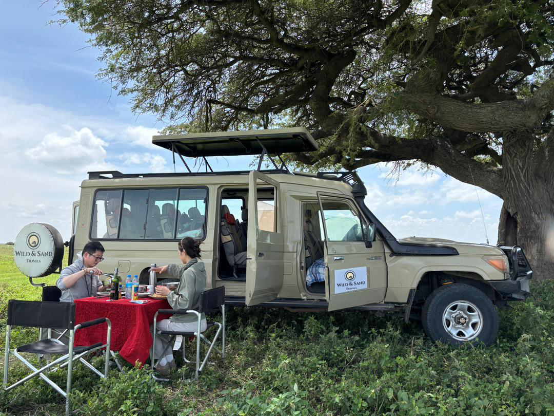 Safari Land Cruiser Interior
