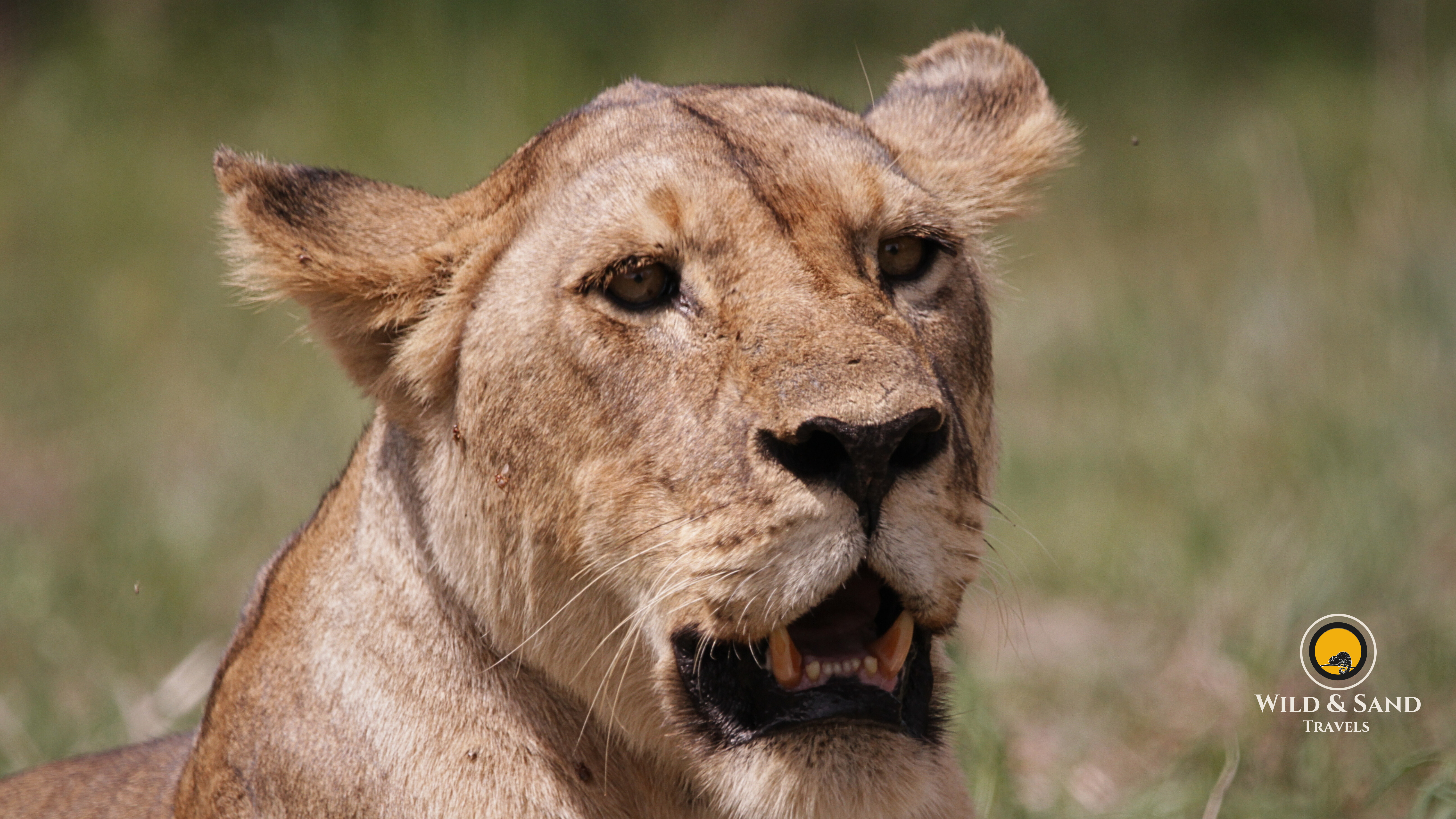 Arusha National Park