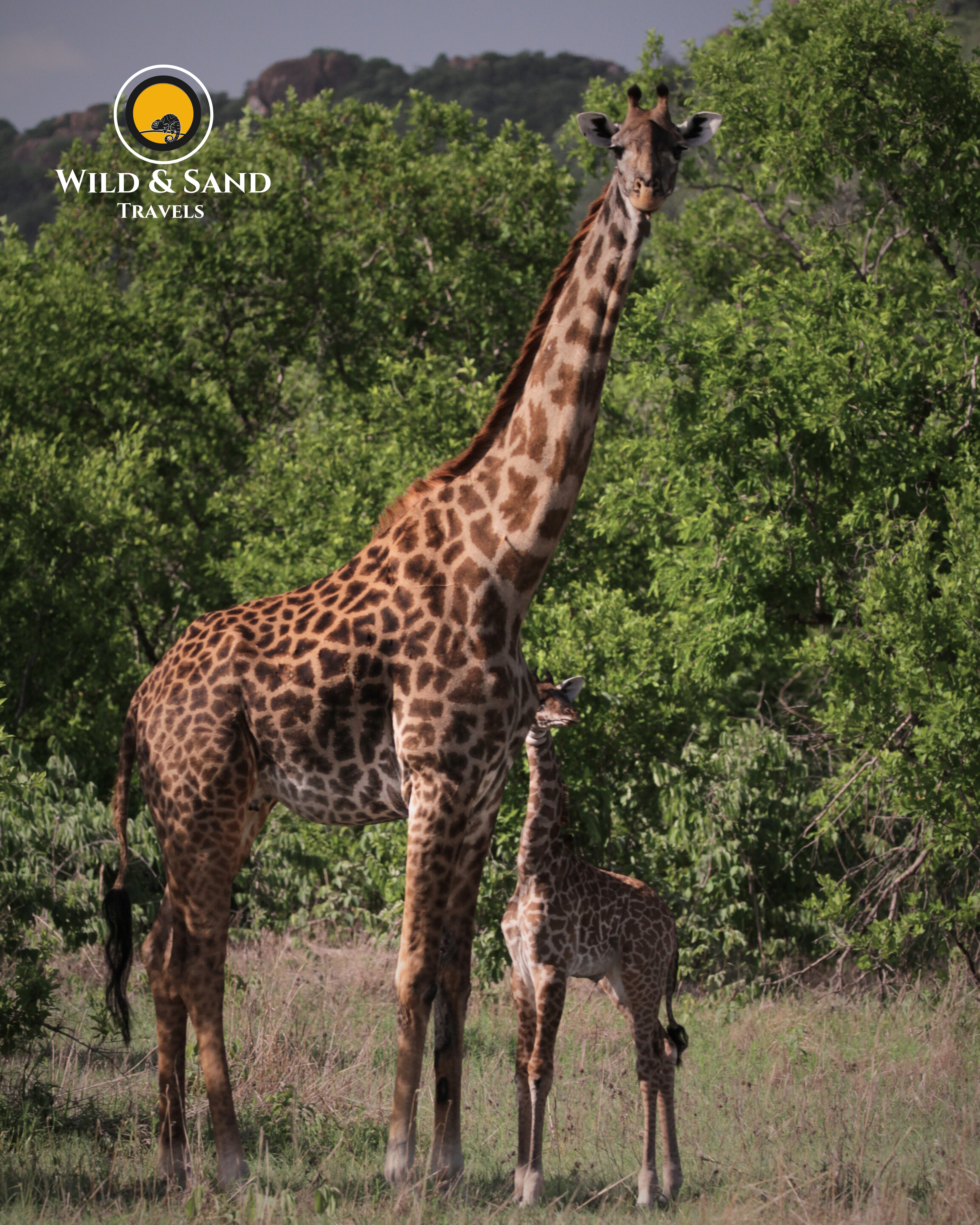 Classic Cultural & Wildlife Safari