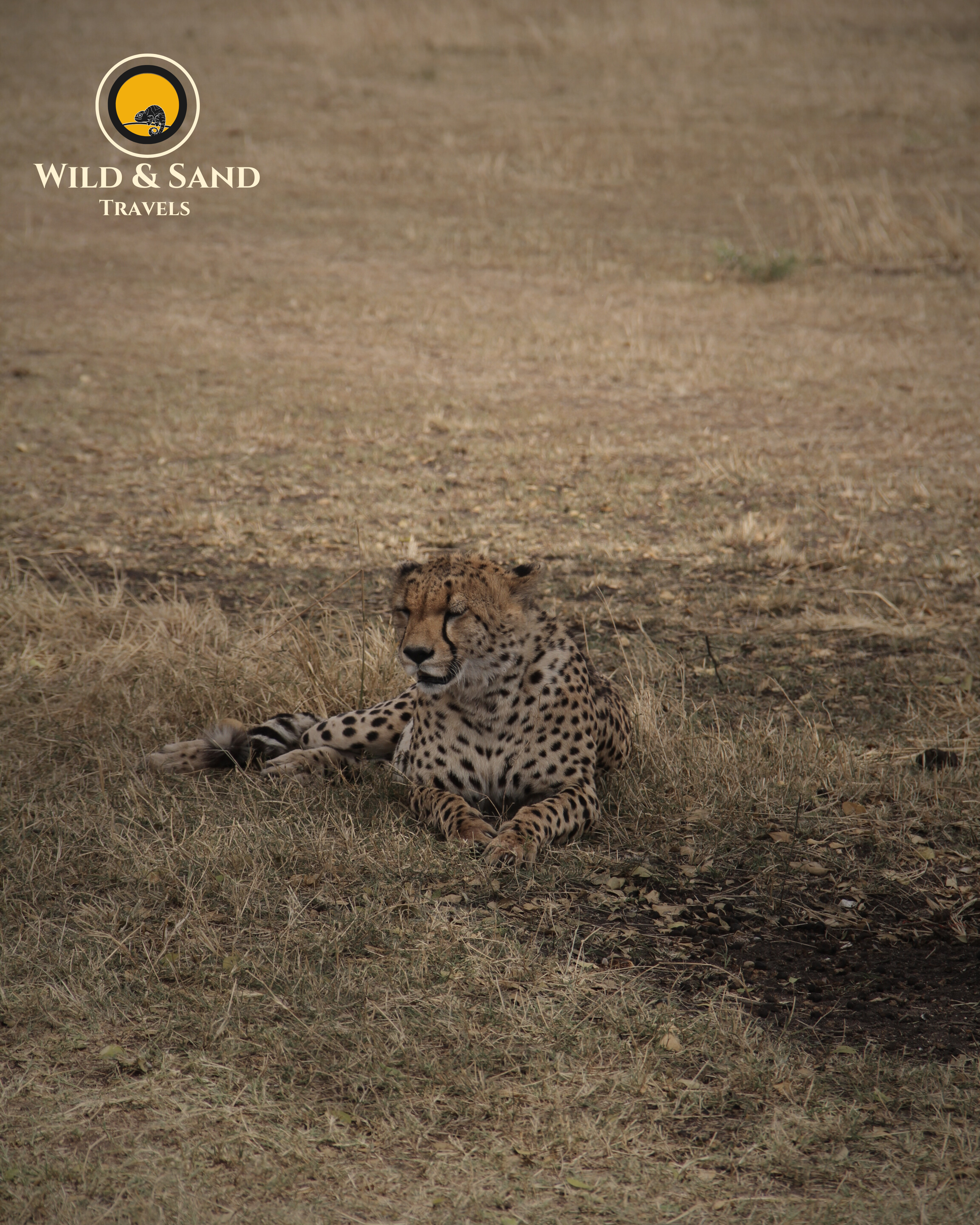 Mara River Migration Safari