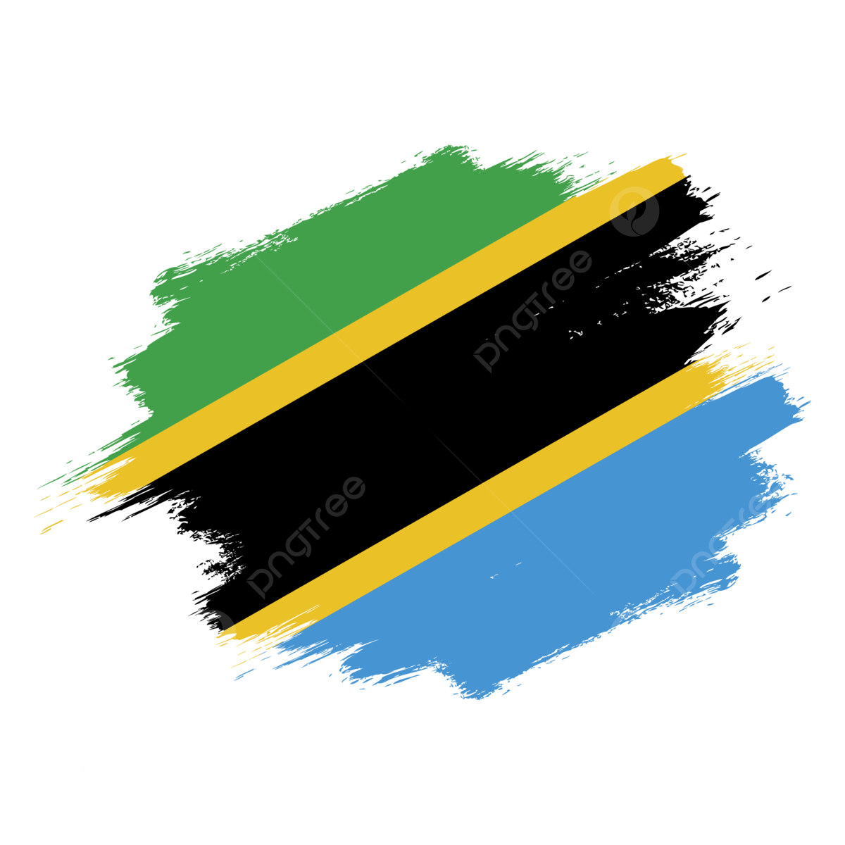 Tanzania Flag